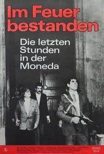 Steadfast in Fire movie poster