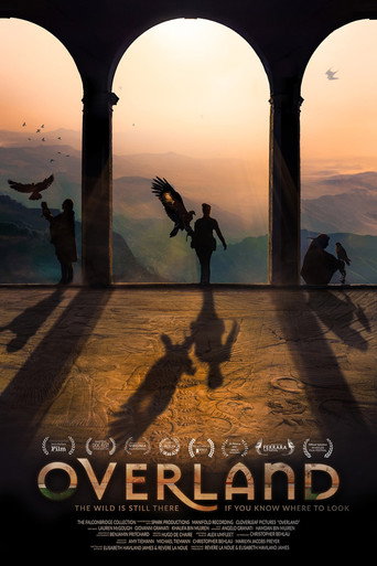 Overland movie poster