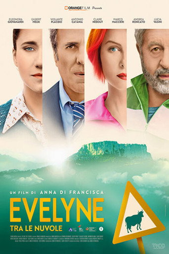 Evelyne tra le nuvole movie poster