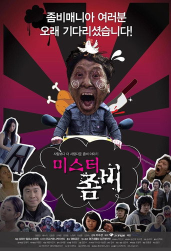 Mr. Zombie movie poster