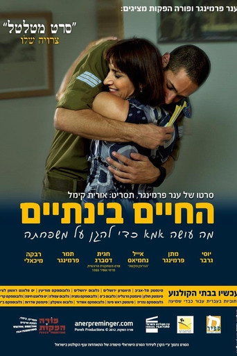 Present Continuous movie poster