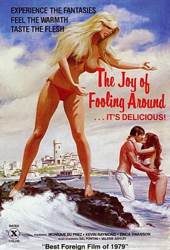 The Joy of Fooling Around movie poster
