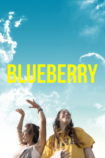 Blueberry movie poster