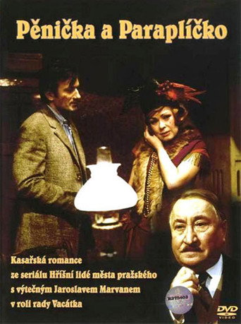 Burglar and Umbrella movie poster
