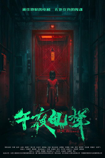 Midnight Elevator movie poster