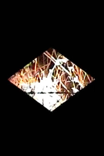 Diamondback movie poster