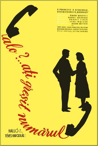 Hello? Wrong Number movie poster