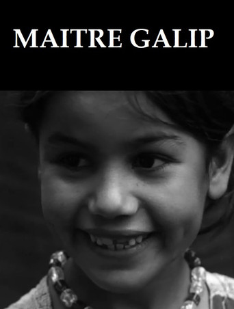 Maître Galip movie poster