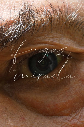 Lo Fugaz de la Mirada movie poster