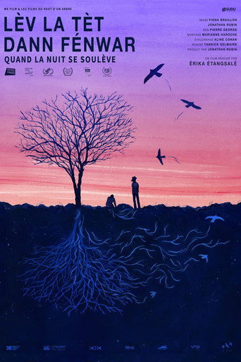 In the Billowing Night movie poster