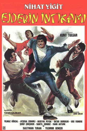 Ejderin İntikamı movie poster