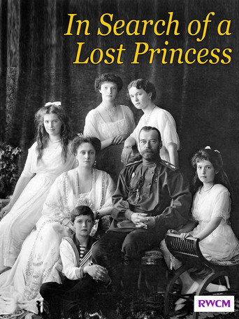 In Search of a Lost Princess movie poster