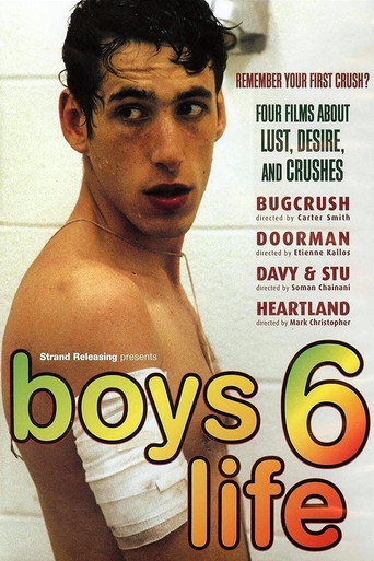 Boys Life 6 movie poster