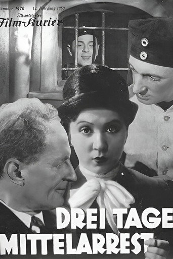 Three Days in the Guardhouse movie poster
