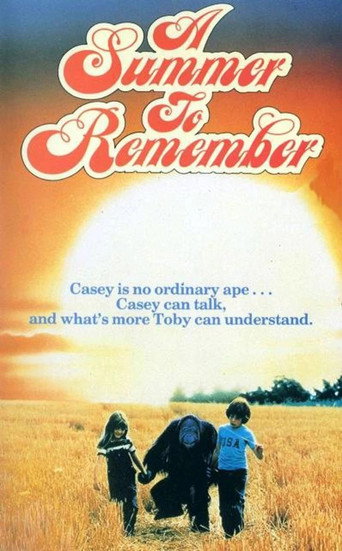 A Summer to Remember movie poster
