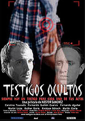 Hidden Witnesses movie poster