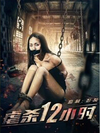 12 Hours of Torture movie poster