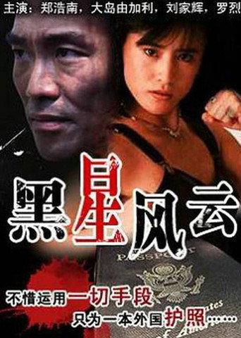 The Story of the Gun movie poster