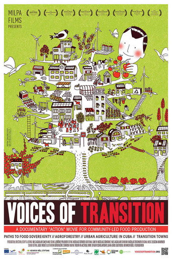 Voices of Transition movie poster