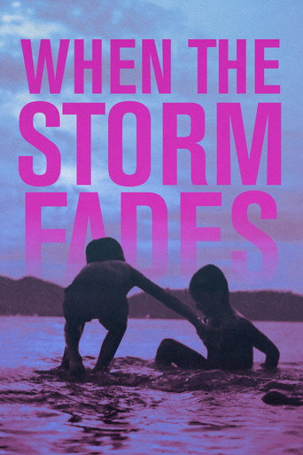 When the Storm Fades movie poster