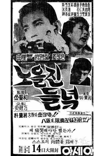 The Field Glow with the Setting Sun movie poster