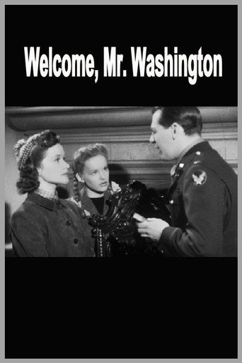Welcome, Mr Washington movie poster