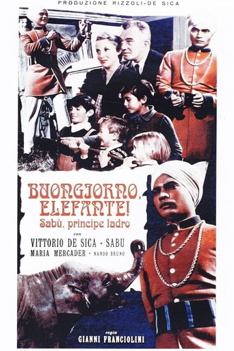 Hello Elephant movie poster