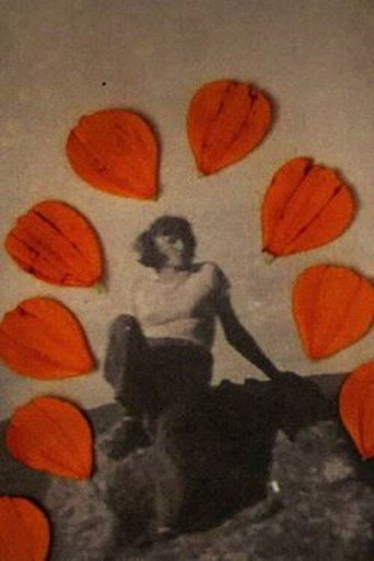 La piel dulce movie poster