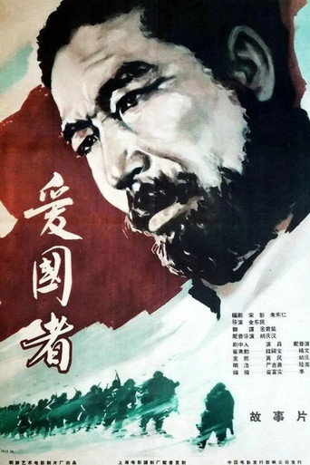 애국자 movie poster