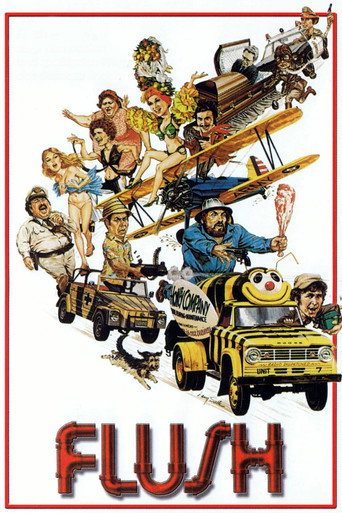 Flush movie poster