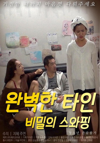 Perfect Others - Swapping Secrets movie poster
