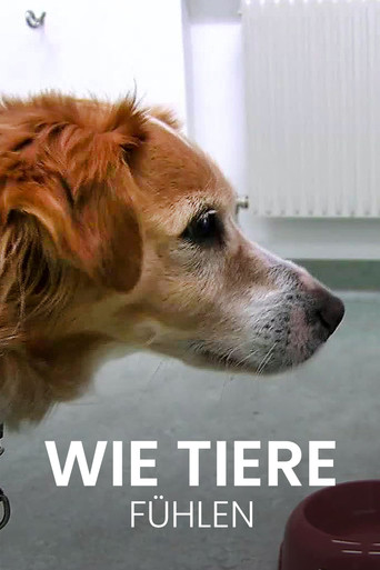 Wie Tiere fühlen movie poster