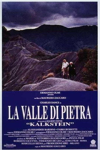 La valle di pietra movie poster