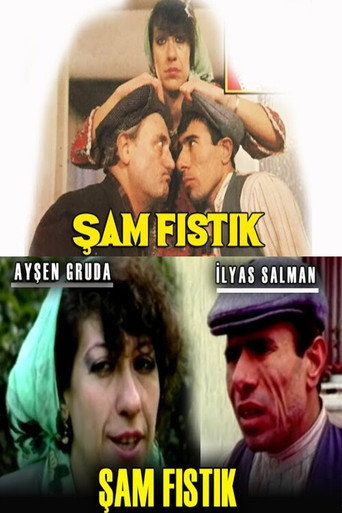 Şam Fıstık movie poster