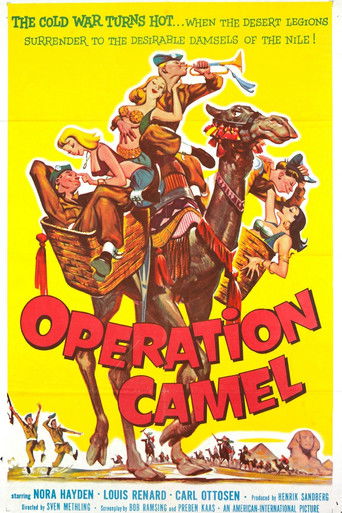 Friends at Arms: Operation Camel movie poster