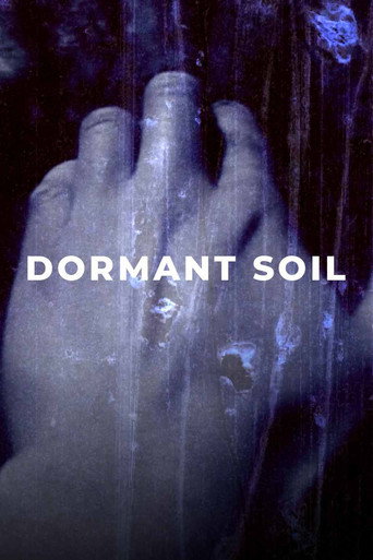 Dormant Soil/Concrete Reflections movie poster