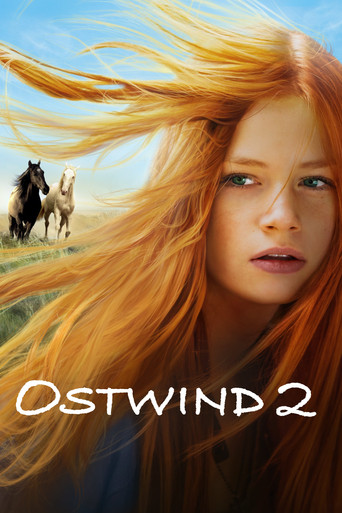 Windstorm 2 movie poster