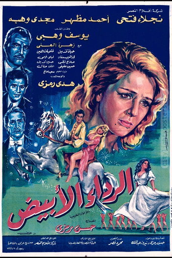 The White Dress movie poster