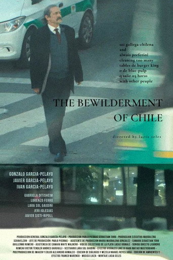 The Bewilderment of Chile movie poster