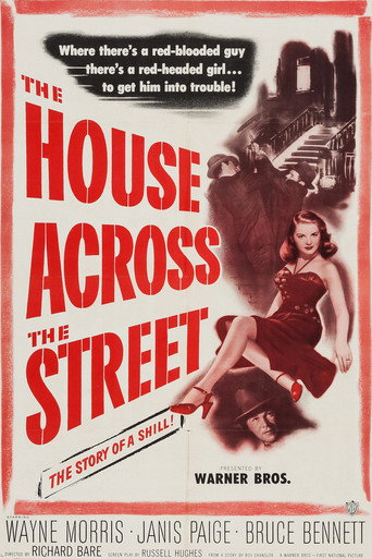 The House Across the Street movie poster