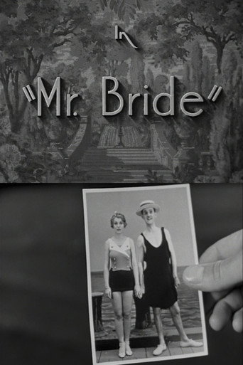 Mr. Bride movie poster