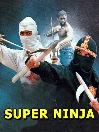 The Super Ninja movie poster