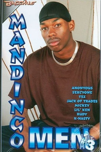 Mandingo Men 3 movie poster