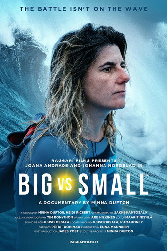 Big vs. Small movie poster