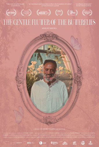 The Gentle Flutter of the Butterflies movie poster