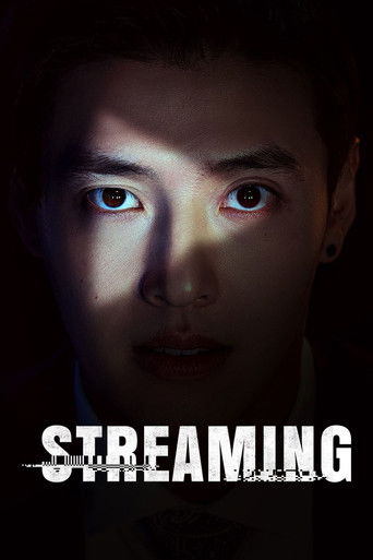 Streaming movie poster