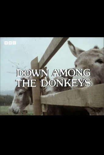 Down Among the Donkeys movie poster