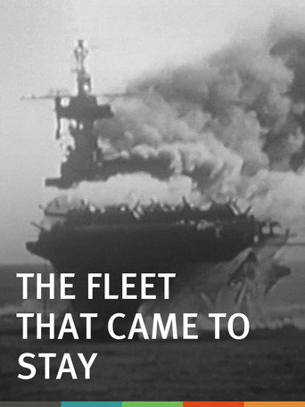 The Fleet That Came to Stay movie poster