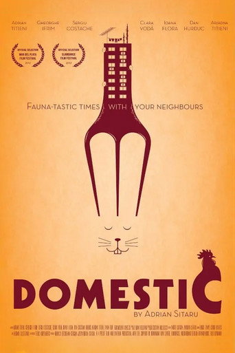 Domestic movie poster