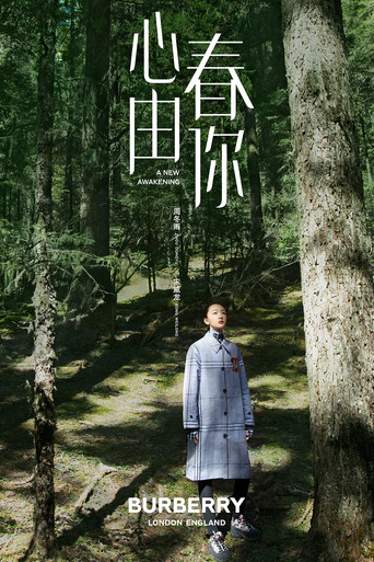 A New Awakening movie poster